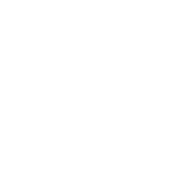 Cámara video